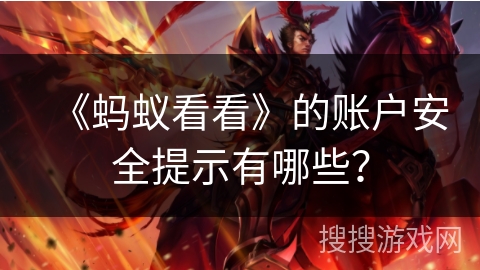 《蚂蚁看看》的账户安全提示有哪些？