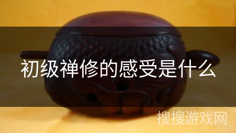 初级禅修的感受是什么 初级禅修的感受是什么