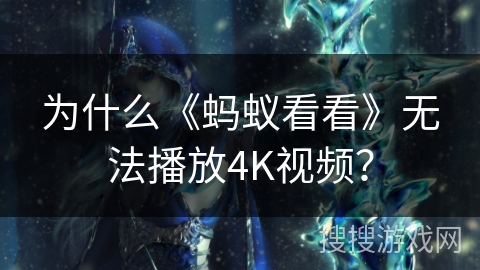 为什么《蚂蚁看看》无法播放4K视频？
