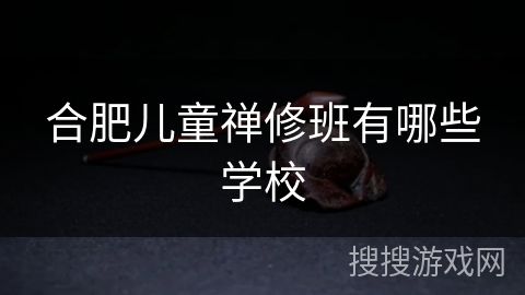 合肥儿童禅修班有哪些学校