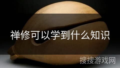 禅修可以学到什么知识