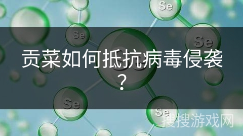 贡菜如何抵抗病毒侵袭？