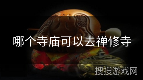 哪个寺庙可以去禅修寺