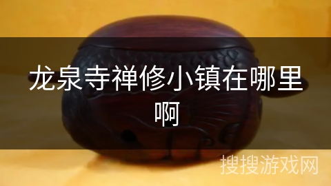 龙泉寺禅修小镇在哪里啊