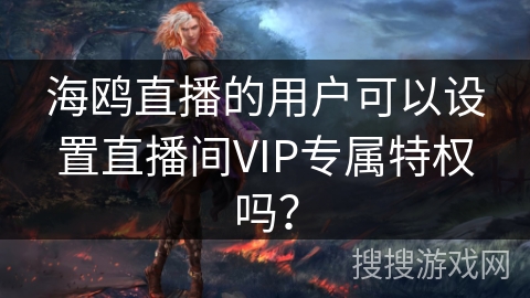 海鸥直播的用户可以设置直播间VIP专属特权吗？