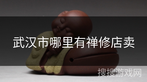 武汉市哪里有禅修店卖