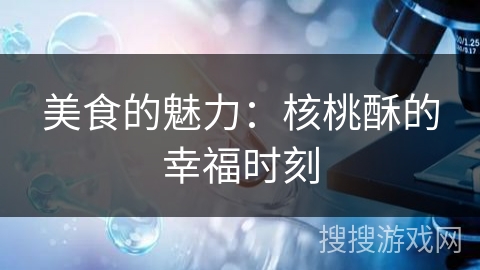 美食的魅力：核桃酥的幸福时刻