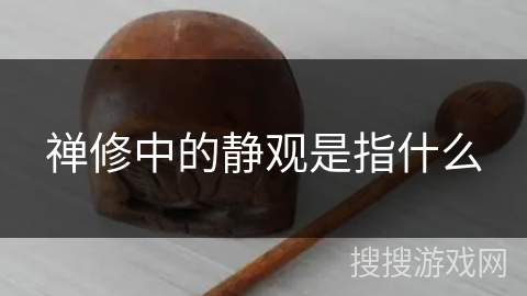 禅修中的静观是指什么