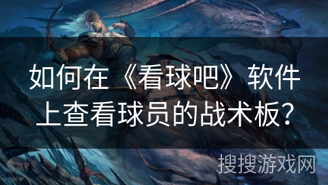 如何在《看球吧》软件上查看球员的战术板？