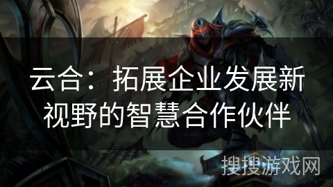 云合：拓展企业发展新视野的智慧合作伙伴