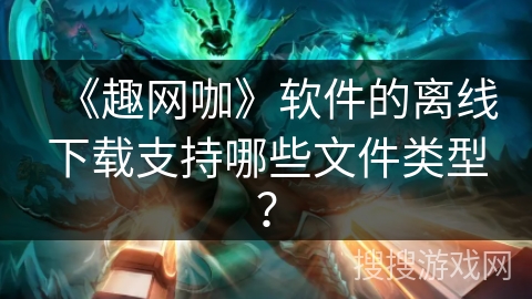 《趣网咖》软件的离线下载支持哪些文件类型？