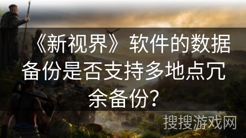 《新视界》软件的数据备份是否支持多地点冗余备份？