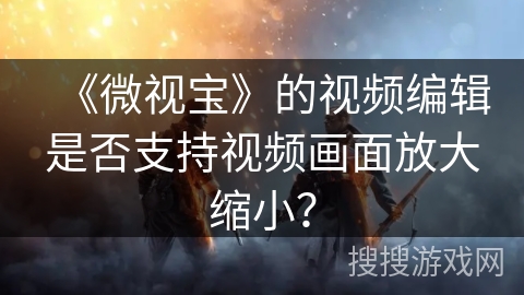 《微视宝》的视频编辑是否支持视频画面放大缩小？