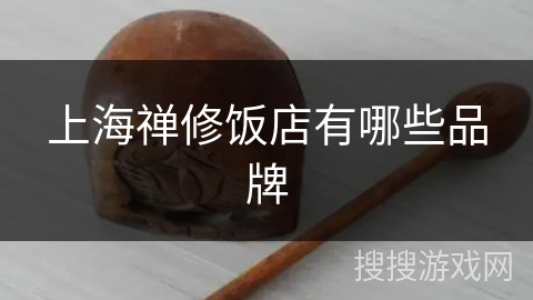上海禅修饭店有哪些品牌