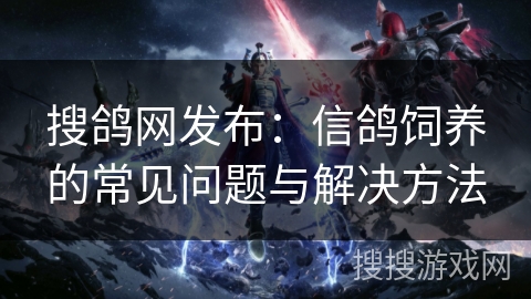 搜鸽网发布：信鸽饲养的常见问题与解决方法