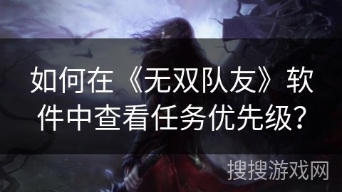 如何在《无双队友》软件中查看任务优先级？