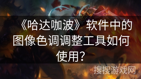 《哈达咖波》软件中的图像色调调整工具如何使用？