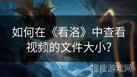 如何在《看洛》中查看视频的文件大小？