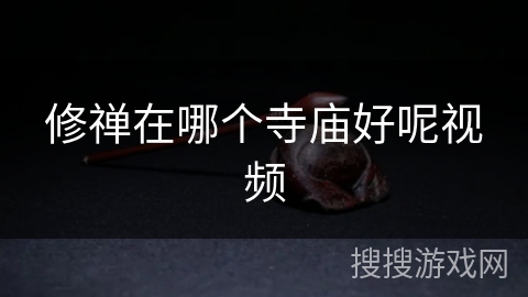 修禅在哪个寺庙好呢视频