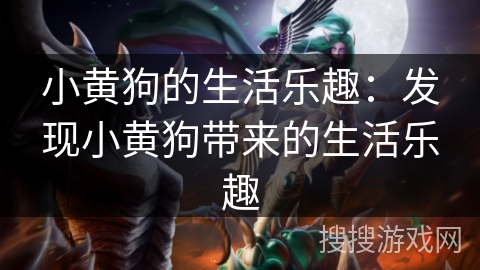 小黄狗的生活乐趣：发现小黄狗带来的生活乐趣