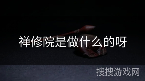 禅修院是做什么的呀