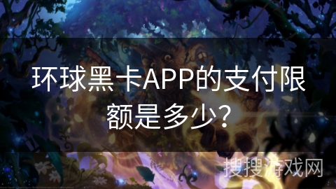 环球黑卡APP的支付限额是多少？