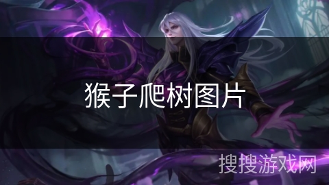 猴子爬树图片