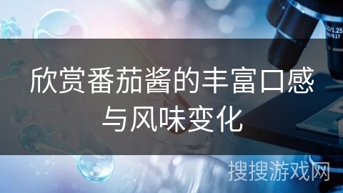欣赏番茄酱的丰富口感与风味变化