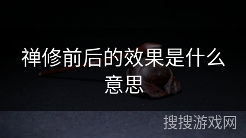 禅修前后的效果是什么意思