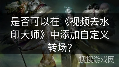 是否可以在《视频去水印大师》中添加自定义转场？