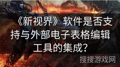 《新视界》软件是否支持与外部电子表格编辑工具的集成？