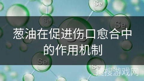 葱油在促进伤口愈合中的作用机制