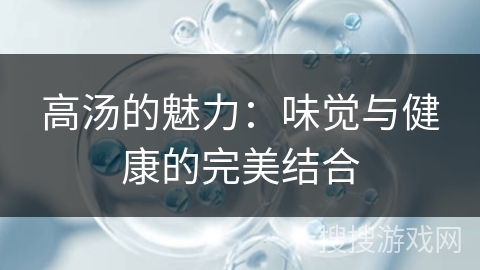 高汤的魅力：味觉与健康的完美结合
