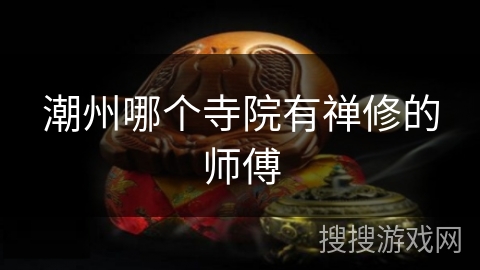 潮州哪个寺院有禅修的师傅