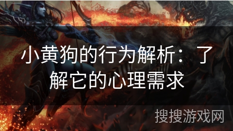 小黄狗的行为解析：了解它的心理需求