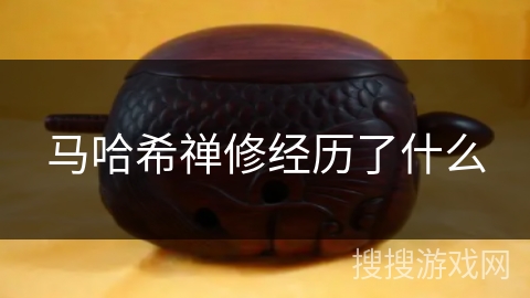 马哈希禅修经历了什么