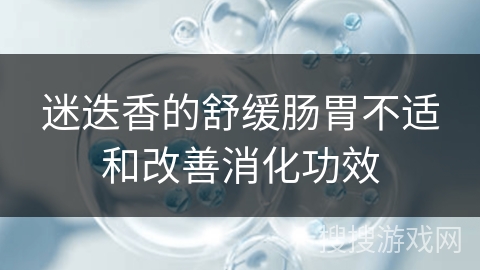 迷迭香的舒缓肠胃不适和改善消化功效