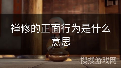 禅修的正面行为是什么意思