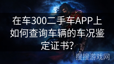 在车300二手车APP上如何查询车辆的车况鉴定证书？