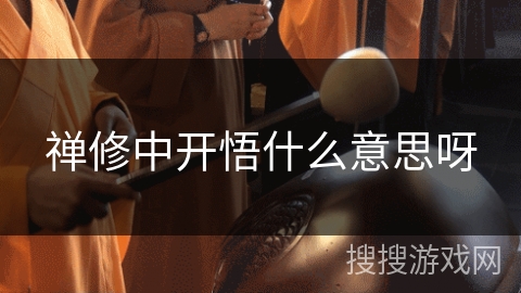 禅修中开悟什么意思呀