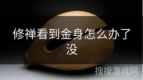 修禅看到金身怎么办了没