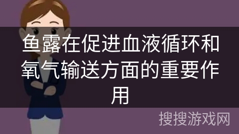 鱼露在促进血液循环和氧气输送方面的重要作用