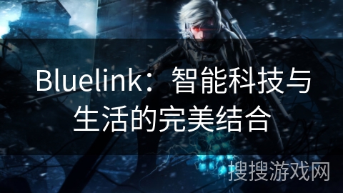 Bluelink：智能科技与生活的完美结合