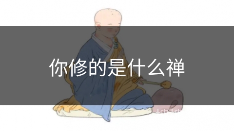 你修的是什么禅