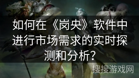 如何在《岗央》软件中进行市场需求的实时探测和分析？
