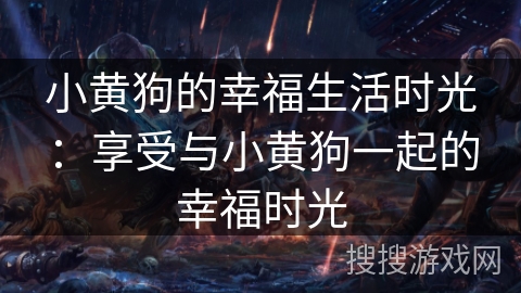 小黄狗的幸福生活时光：享受与小黄狗一起的幸福时光