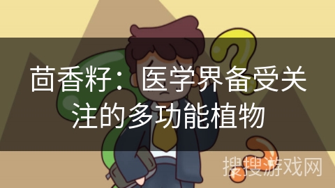 茴香籽：医学界备受关注的多功能植物