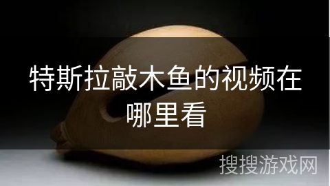 特斯拉敲木鱼的视频在哪里看