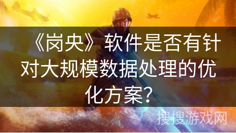 《岗央》软件是否有针对大规模数据处理的优化方案？