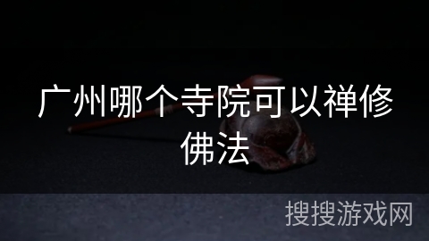 广州哪个寺院可以禅修佛法